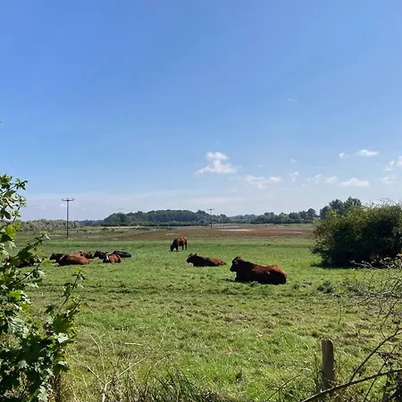 Bades Huk Haus 9 33 - Eg * Hohen Wieschendorf